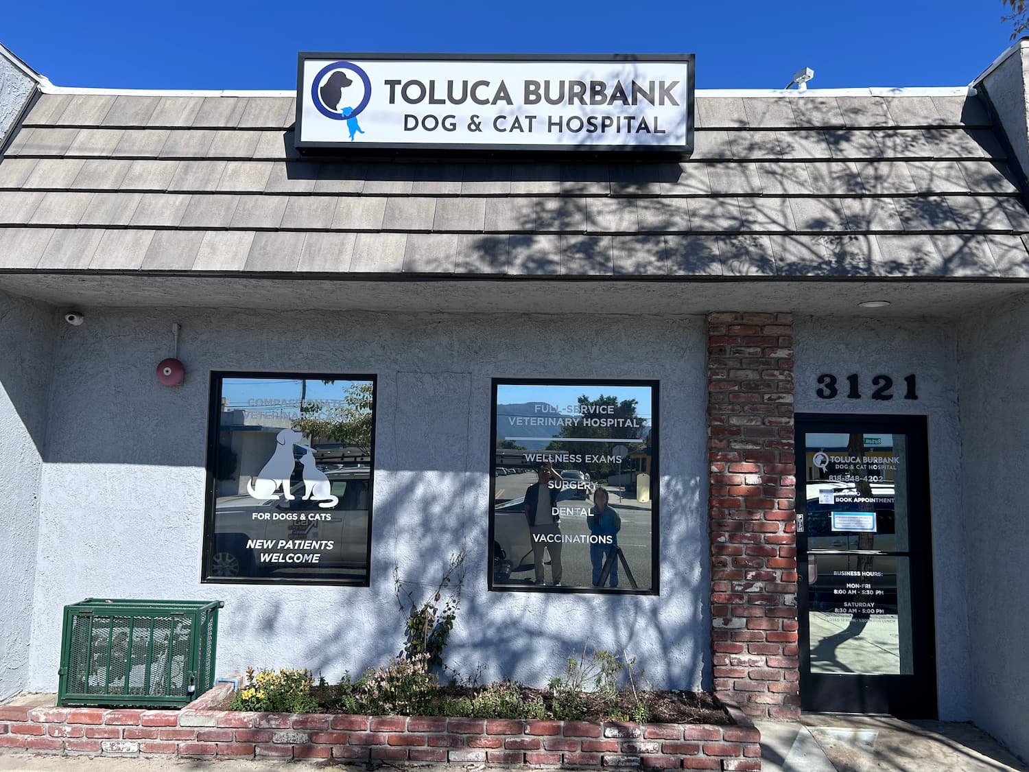 Exterior view of Toluca Burbank Dog & Cat Hospital, showing windows with service information and entrance door at 3121.